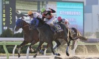 ディクテオンが総合優勝…2025 G/JpnⅠグランドボーナス確定