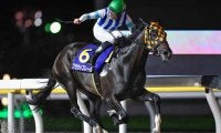 【大井・東京シンデレラマイル注目馬】南関東の最強牝馬決定戦にフルゲート16頭