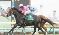 【コラム継承・クリスタルブラック】８歳までもうひと花咲かすと戦い続けた人馬　競馬記者としての第一歩となった２０年京成杯