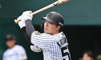 阪神を戦力外の楠本泰史　社会人断りスカウト転身「プロの世界で野球をやっていたいという強い思い」球団に感謝