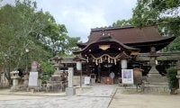 競馬ファンならぜひ行きたい 京都の「馬の神社」で初詣はいかが？