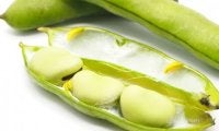 「そら豆」の栄養を上手に摂取する方法