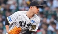 阪神から移籍→続く戦力外通告　“成功例”誕生の一方で…現役ドラフト移籍選手の明暗