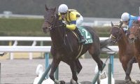 京都金杯勝ち時計ランキング 1位は勝ち馬の末脚光った14年の一戦