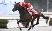 【高知・初夢特別】オタマジャクシが4連勝…永森「今日はトノサマガエルでした」