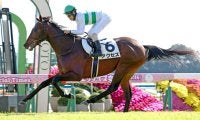 【注目馬動向・３歳】新馬Ｖのアクセスは北村友一騎手と京成杯へ　キッコベッロは杉原誠人騎手とあすなろ賞