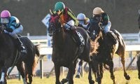 【京都金杯展望】リゲルS組と昇級初戦の勢いある馬に注目