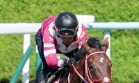 【馬トク報知３歳馬番付】ヤマタケ記者は樫の女王に未勝利馬を抜てき　坂本記者は最後まで国枝厩舎推し