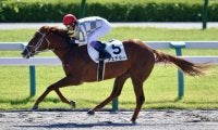 武豊騎手 今週の騎乗馬…日月で16鞍