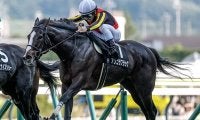 【中山金杯枠順確定】アンゴラブラックは2枠2番、カネラフィーナは3枠3番