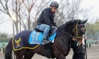 【中山金杯】人馬で復活を狙うニシノエージェント　鞍上に千葉調教師「お世話になっている先輩の一人」