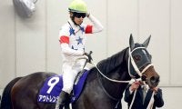 【注目馬動向・古馬】アウトレンジはドバイ・ワールドＣが目標　シトリンＳ勝ちのムルソーは佐賀記念を本線に調整