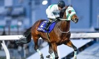 【川崎・川崎マイラーズ結果】アランバローズが9馬身差逃げ切りV！重賞5勝目を挙げる