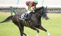 中山も京都も芝は内有利 中山金杯はアンゴラブラックの重賞初制覇に期待