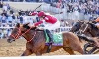【サウジカップ登録馬】フォーエバーヤング、ディクテオンら日本馬が登録