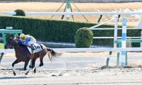 【中山３Ｒ・３歳新馬】「年末の締めも新年最初も…」大井の矢野貴之騎手がエアサロメを７馬身差圧勝に導く