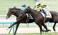 【京都５Ｒ・３歳新馬】１３番人気のタイキルッジェーロ１着で３連単１５９万馬券！　斎藤新騎手「使ってからかなと…」