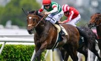 23年のダービー馬タスティエーラが登録抹消 優駿スタリオンステーションで種牡馬入り
