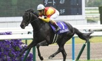 23年の天皇賞(春)覇者ジャスティンパレスが登録抹消 アロースタッドで種牡馬入り