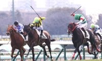 【中山５Ｒ・３歳新馬】１番人気のデイトナチャンプが鼻差Ｖ　横山武史騎手「調教からポテンシャルを」