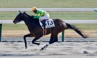 【京都7R】14番人気が激走！ルクスフレンジーが豪快な差し切りV