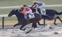 【京都4R】テイエムサンレーヴの直線一気炸裂…鮮やか2勝目