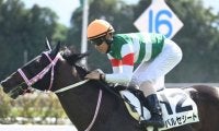 登竜門のシンザン記念とフェアリーS/今週の競馬界の見どころ