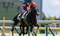 【シンザン記念登録馬】モノポリオなど18頭