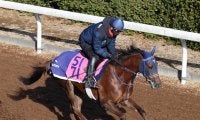 【フェアリーＳ・西山の特注馬】新馬戦でルメール騎手が絶賛したギリーズボールの末脚に期待