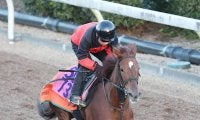 【フェアリーＳ・イシゴーの特注馬】１戦１勝馬ヴァリスマリネリスに感じる魅力　舞台替わりに中舘調教師「好材料」