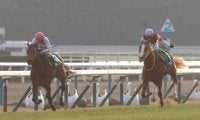 シンザン記念勝ち時計ランキング 出世レースを最速で駆け抜けた馬は？