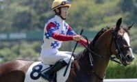 新春競馬に「オトシダマ」が参戦 高配提供でお年玉となるか