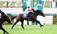 ダノンスコーピオンが南アフリカで種牡馬入り