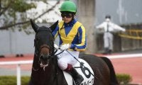 23年中京記念覇者セルバーグが登録抹消 滋賀県で乗馬になる予定