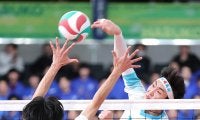 春高バレー大阪勢3校が4強入り　男子・清風、女子・金蘭会と大阪国際が10日の準決勝へ