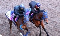 【フェアリーＳ】良血馬ギリーズボールがリズム良く坂路で併入　手塚久調教師「気持ちの強い子で能力はありそう」