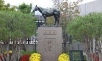 ばんえい競馬にもその血をのこす!? シンザン記念の「シンザン」ってどんな馬