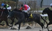 【すばるS結果】キタノズエッジが差し切りオープン初勝利