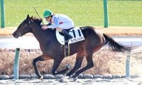 重賞がない１０日の中山競馬で不可思議な現象　第１ＲにおけるＪＲＡレコードの売り上げを２週連続で更新