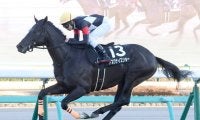 【中山１１Ｒ・迎春Ｓ】アスクナイスショー鮮やか逃げ切り　田辺裕信騎手は復帰後初勝利「縁を感じます」