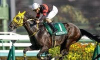 25年京成杯AHの勝ち馬ホウオウラスカーズが登録抹消 岡田スタッドで繁殖入り