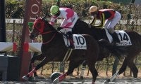 【京都2R新馬戦結果】バンドワゴン産駒の9番人気ハッピーラブソングが差し切りV