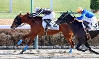 【中山５Ｒ・３歳新馬】単勝５０倍超馬の勝利も予言通り！？エスシービクトリア逃げ切りＶ　村田調教師「勝てるぞと」