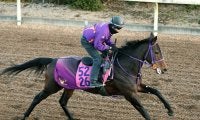 日曜中山競馬場の注目激走馬…中山１１Ｒフェアリーステークス・Ｇ３