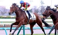 【中山８Ｒ・４歳上１勝クラス】「今年もよろしくお願いします」ルメール騎手が初勝利　１番人気クライスレリアーナでＶ