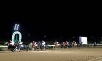 【佐賀・ゴールドスプリント結果】高知のミスズグランドオーが5馬身差で圧勝