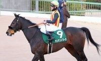 【フェアリーＳ】戸崎圭太騎手「広いコースの方が良さそう」　３番人気のサンアントワーヌは５着