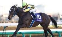ハーツクライ産駒がJRA通算1600勝達成！ JRA史上6頭目