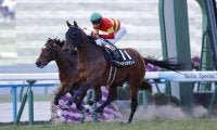 【新春S】ベラジオボンドが好位から抜け出し4勝目