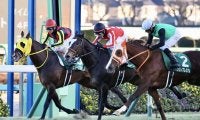 ラーグルフが登録抹消、乗馬へ